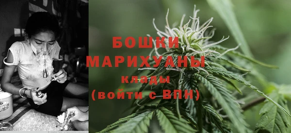 ешки Арсеньев