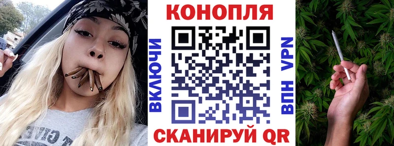 Канабис гибрид  Ленск 